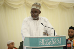 Tan-DSC_5548-800x533