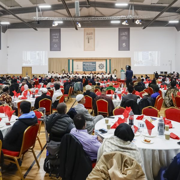 Photo by : Naseem Hayat Photography